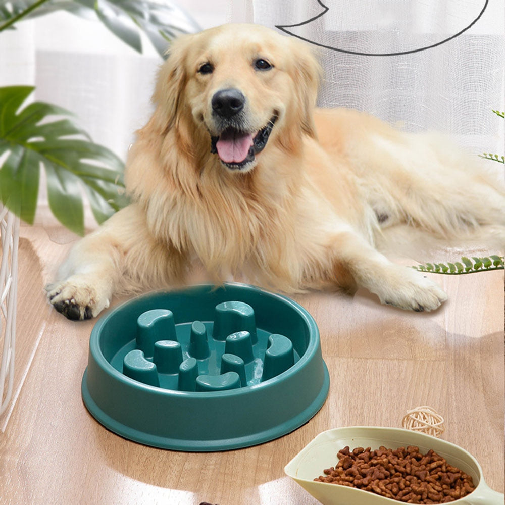 Interactive Slow Feeder Pet Bowl – Fun Puzzle Design – Puzzlow™