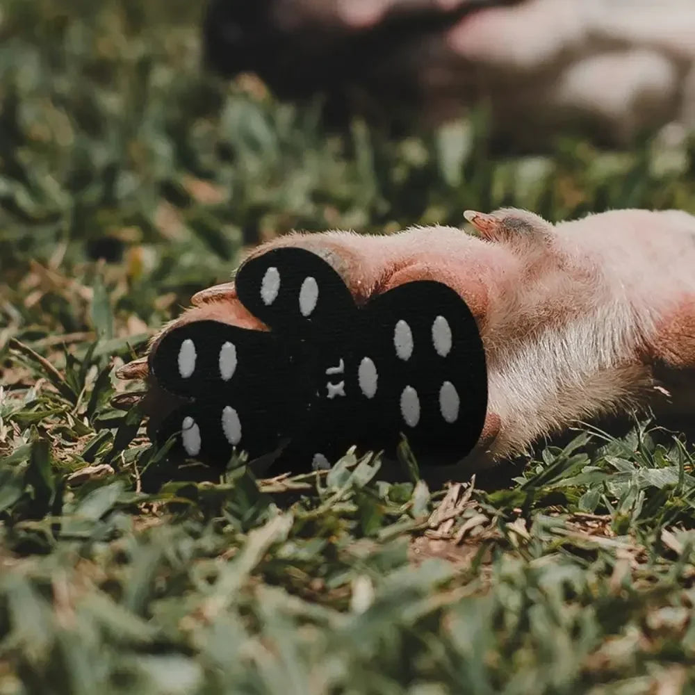 Adhesive Paw Protector Stickers for Dogs - 4 PCS – PawStick™