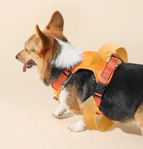 Retractable Dog Harness & Leash Set with Adjustable Straps – Retrako™