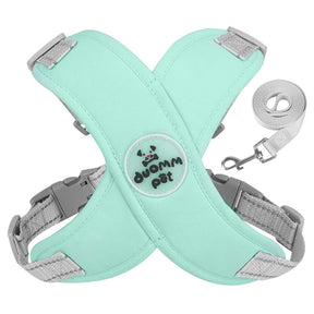 Adjustable Polyester Collar and Leash Set for Dogs and Cats – Zynn™