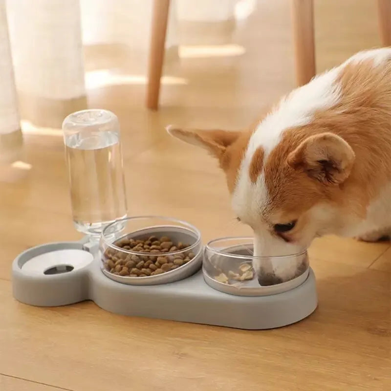 Double Pet Bowl with Automatic Water Dispenser – Trioh™