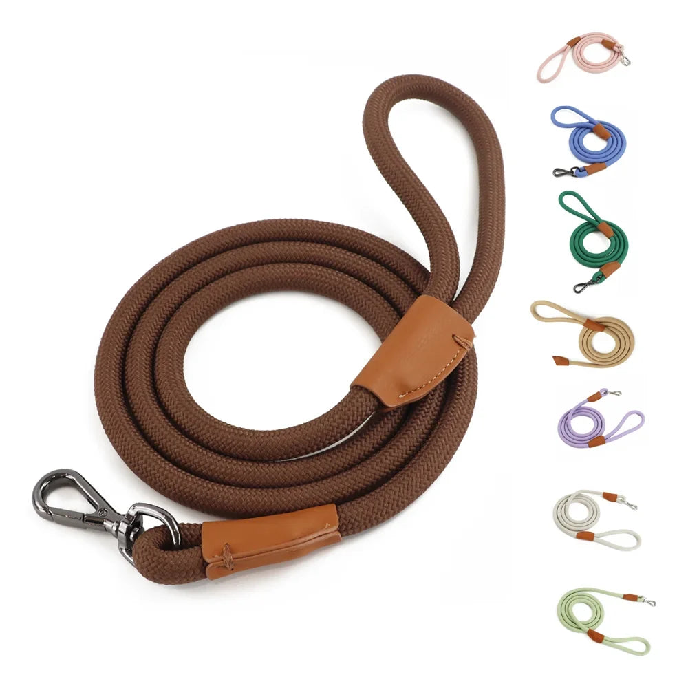 Nylon Pet Leash with Quick-Release Buckle for Everyday Walks – Ramsey™