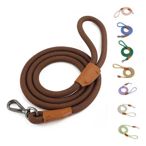 Nylon Pet Leash with Quick-Release Buckle for Everyday Walks – Ramsey™