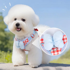 Plaid Bow Print Cotton Collar & Leash Set for Dogs – Chexlo™