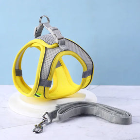 Reflective Collar & Leash Set for Dogs & Cats – Kinlo™