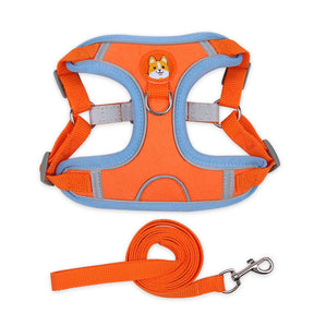 Polyester Mesh Dog Collar & Leash Set for Small to Large Dogs – Nokwell™