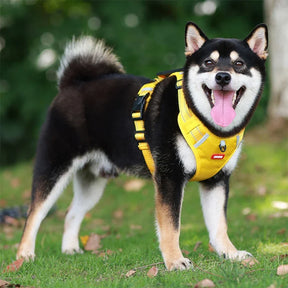 Adjustable Reflective Chest Harness for Small to Large Pets – Zeko™