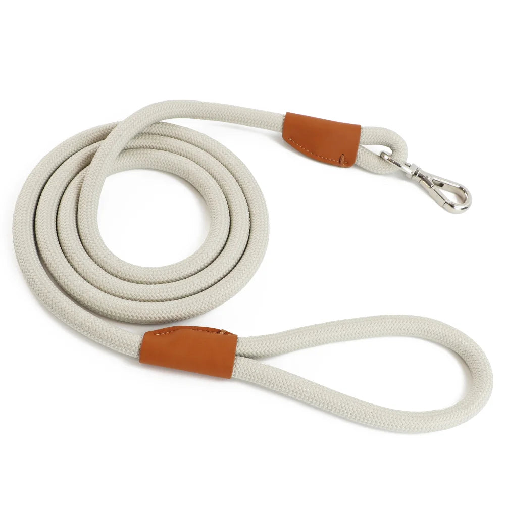 Nylon Pet Leash with Quick-Release Buckle for Everyday Walks – Ramsey™