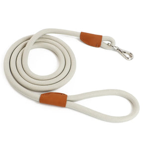 Nylon Pet Leash with Quick-Release Buckle for Everyday Walks – Ramsey™