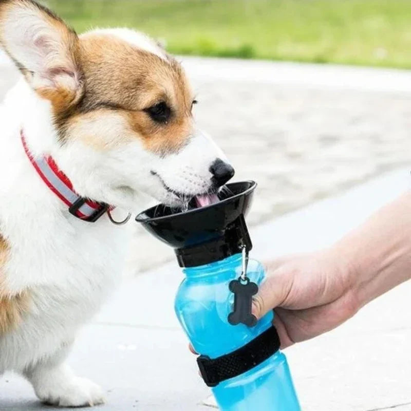 Portable Pet Water Bottle for Walks & Travel – Vylo™