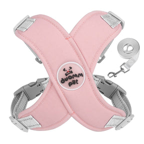 Adjustable Polyester Collar and Leash Set for Dogs and Cats – Zynn™