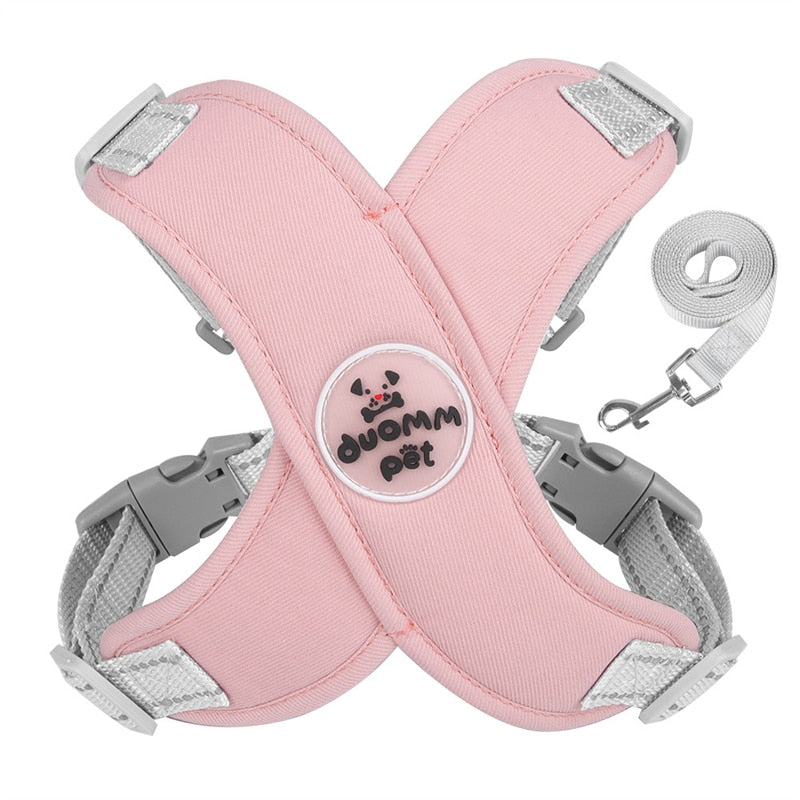 Adjustable Polyester Collar and Leash Set for Dogs and Cats – Zynn™