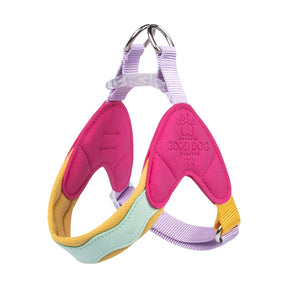 No-Pull Padded Pet Collar with Quick-Release Buckle – Huxlo™