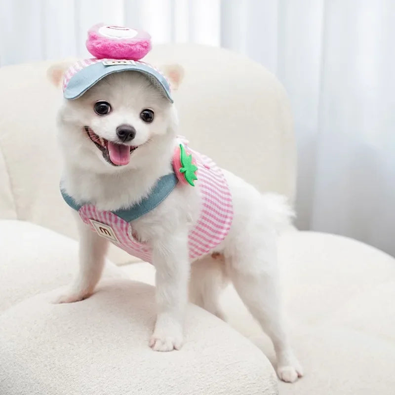 Dog Collar & Leash Set with Matching Hat – Zippa™