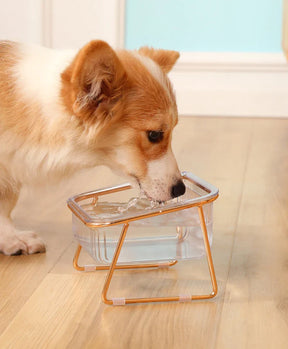 Elevated Clear Pet Bowl with Tilted Iron Base – Tiltera™