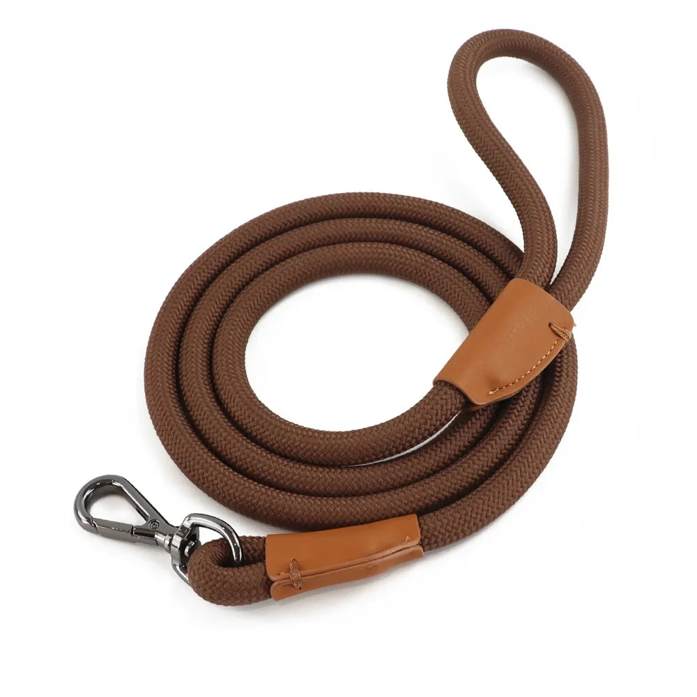 Nylon Pet Leash with Quick-Release Buckle for Everyday Walks – Ramsey™