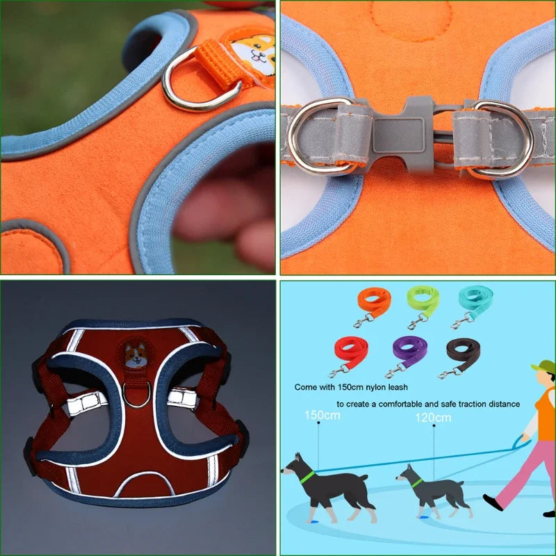 Polyester Mesh Dog Collar & Leash Set for Small to Large Dogs – Nokwell™