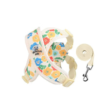Floral Print Polyester Mesh Collar & Leash Set for Pets – Blithe™
