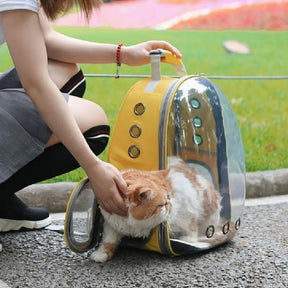 Panoramic View Pet Carrier Backpack for Dogs & Cats – Panora™