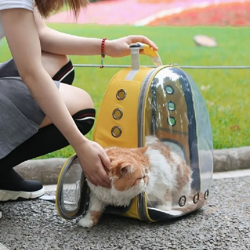 Panoramic View Pet Carrier Backpack for Dogs & Cats – Panora™