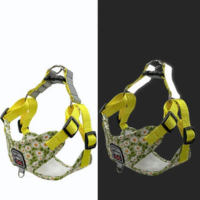 Adjustable Reflective Nylon Dog Collar & Leash Set – Trekly™