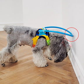 Anti-Collision Collar for Blind Pets – SightGuard™