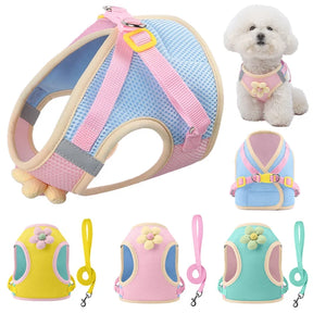 Breathable Reflective Pet Collar & Leash Set – AirTrail™