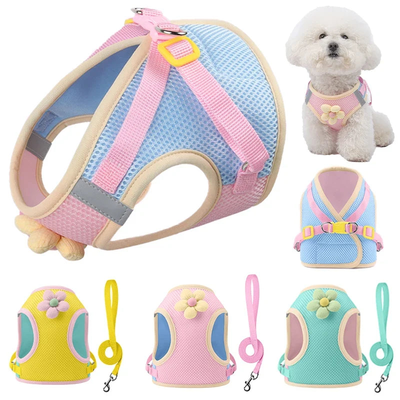 Breathable Reflective Pet Collar & Leash Set – AirTrail™