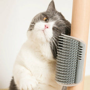Cat Scratcher Comb & Massager Toy with Catnip for Cats – Scritchy™