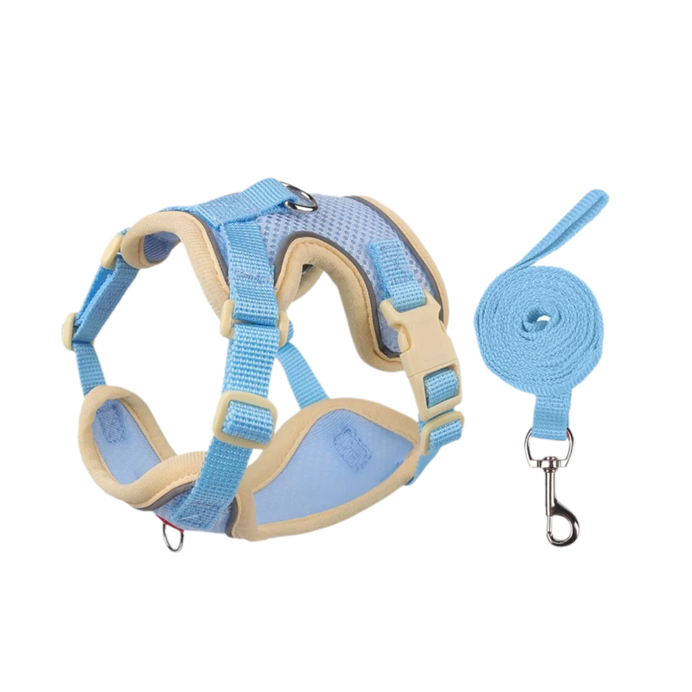 Reflective Nylon Dog Collar & Leash Set for Small to Large Dogs – Duskra™