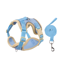 Reflective Nylon Dog Collar & Leash Set for Small to Large Dogs – Duskra™