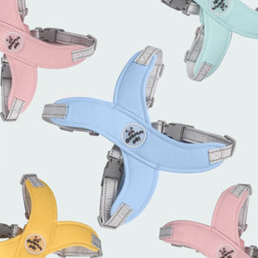 Adjustable Polyester Collar and Leash Set for Dogs and Cats – Zynn™