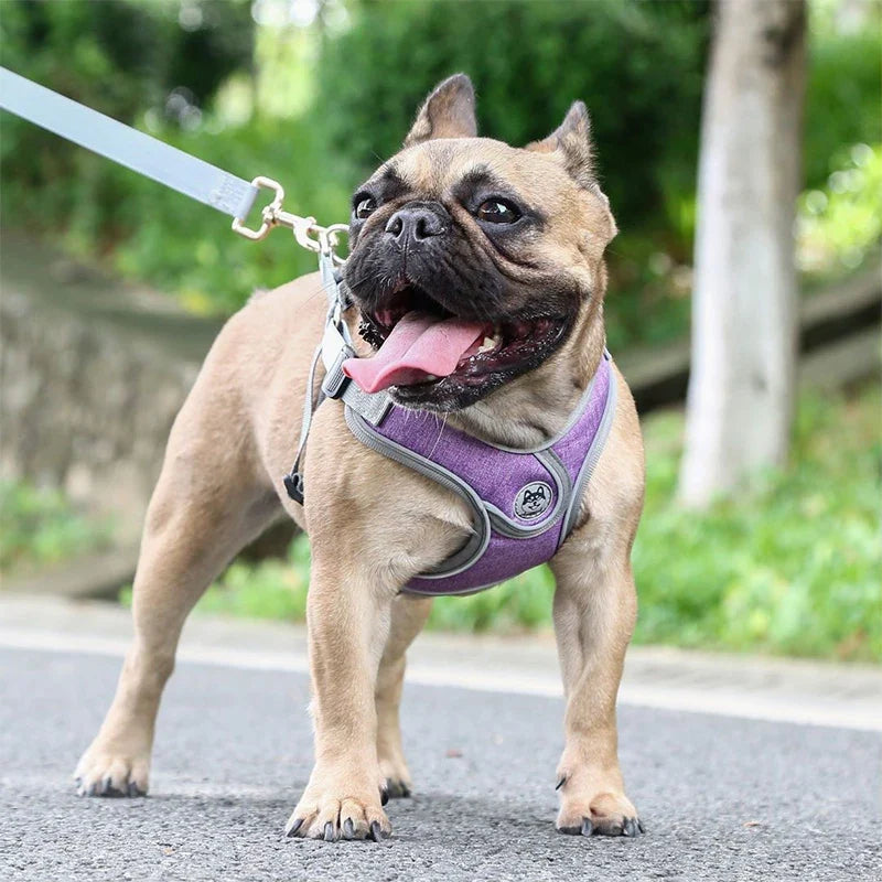 Soft Reflective Nylon Chest Harness for Dogs & Cats – Dovex™