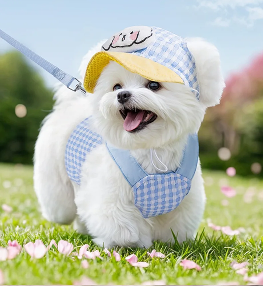 Dog Harness, Leash & Adjustable Hat Set in Blue or Brown – Quenby™