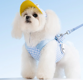 Dog Harness, Leash & Adjustable Hat Set in Blue or Brown – Quenby™