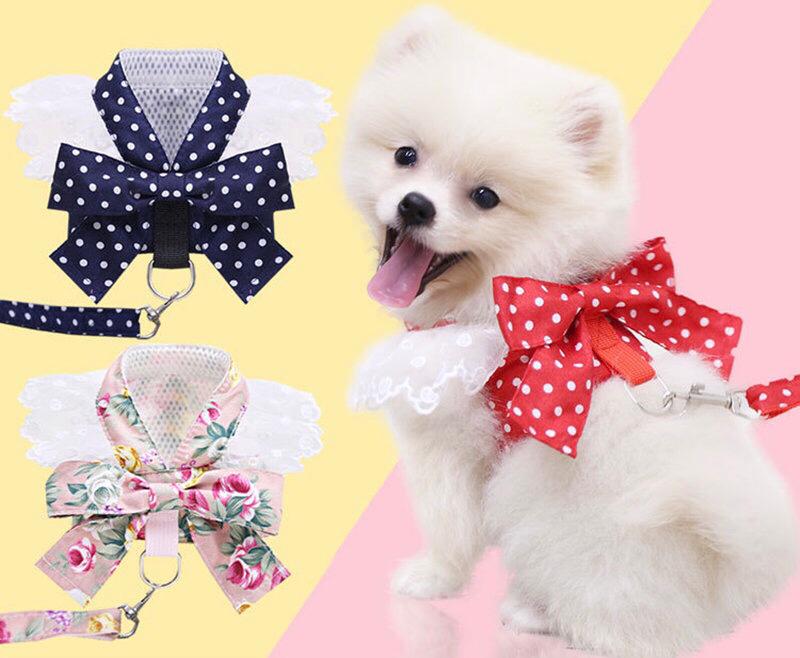 Bow-Style Collar & Leash Set with Adjustable Chest Fit – Pawlyn™