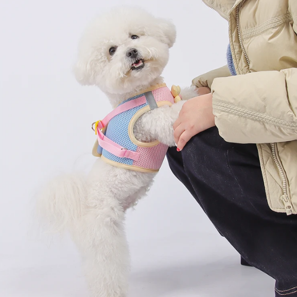 Breathable Reflective Pet Collar & Leash Set – AirTrail™