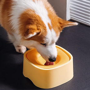 Floating Anti-Splash Pet Bowl – No-Spill Water Dish – Floatie™
