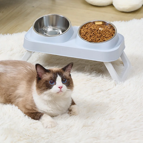 Elevated Double Pet Bowl with Neck Support for Dogs & Cats – Bevoo™