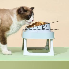 Elevated Double Pet Bowl with Neck Support for Dogs & Cats – Bevoo™