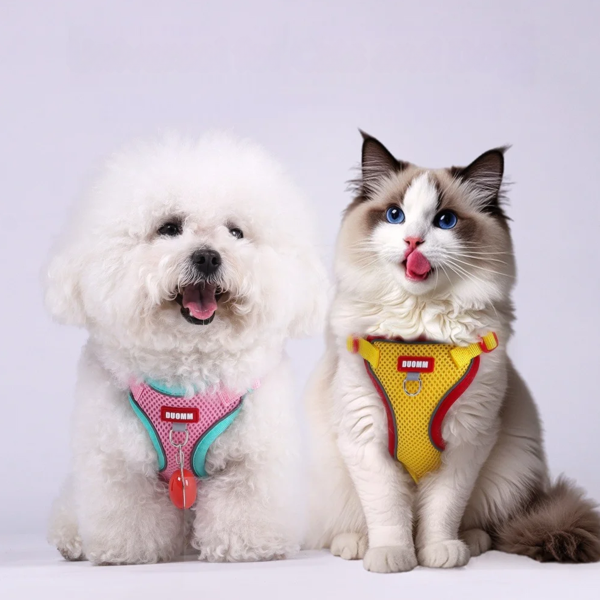 Reflective Nylon Dog Collar & Leash Set for Small to Large Dogs – Duskra™