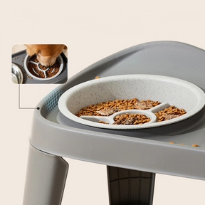 Elevated Double Bowl Set with Slow Feeder Option for Pets – Bowla™