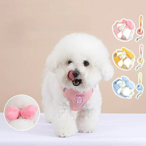 Adjustable Collar & Leash Set with Quick-Release D-Ring Buckle – Moxwell™