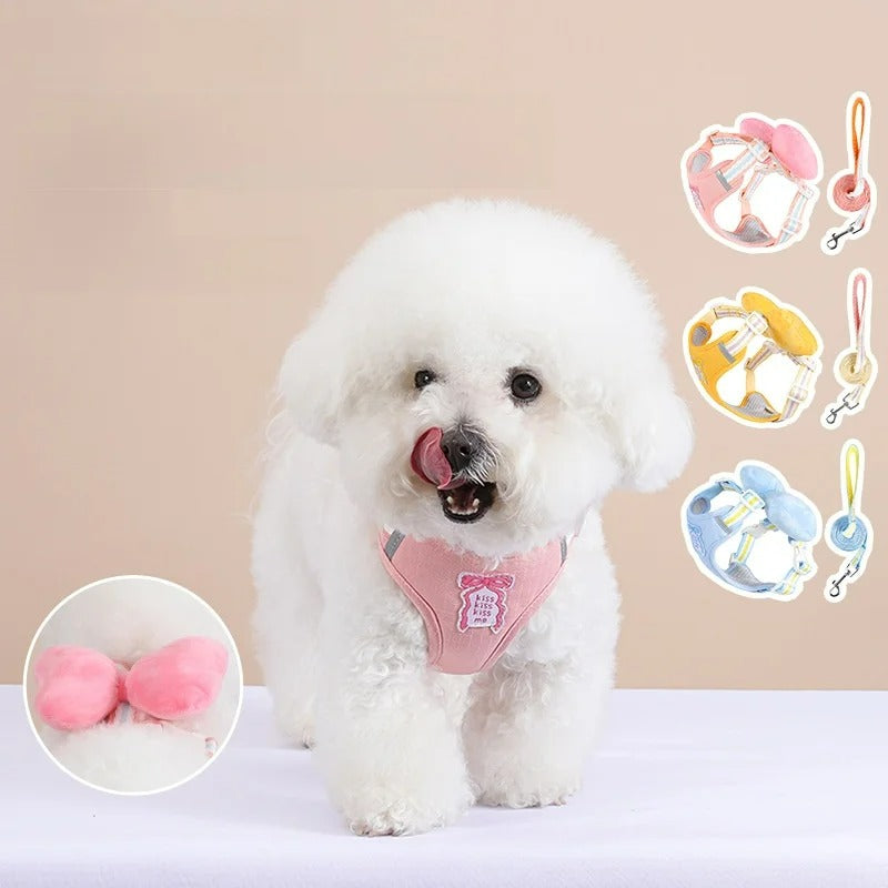 Adjustable Collar & Leash Set with Quick-Release D-Ring Buckle – Moxwell™