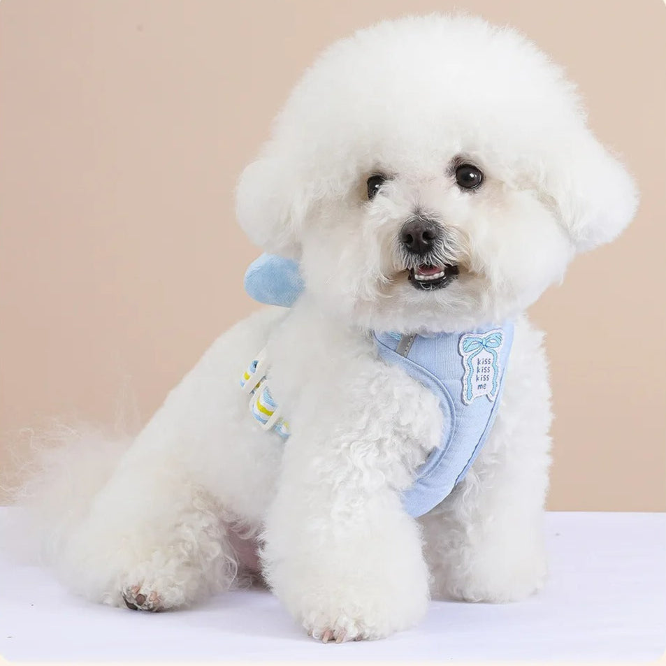 Adjustable Collar & Leash Set with Quick-Release D-Ring Buckle – Moxwell™