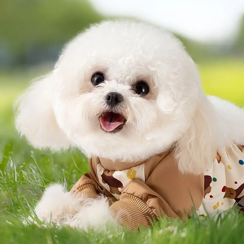 Waterproof Anti-Dirt Pet Onesie with Bootie Option – Pawcloak™