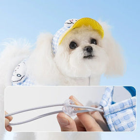 Dog Harness, Leash & Adjustable Hat Set in Blue or Brown – Quenby™