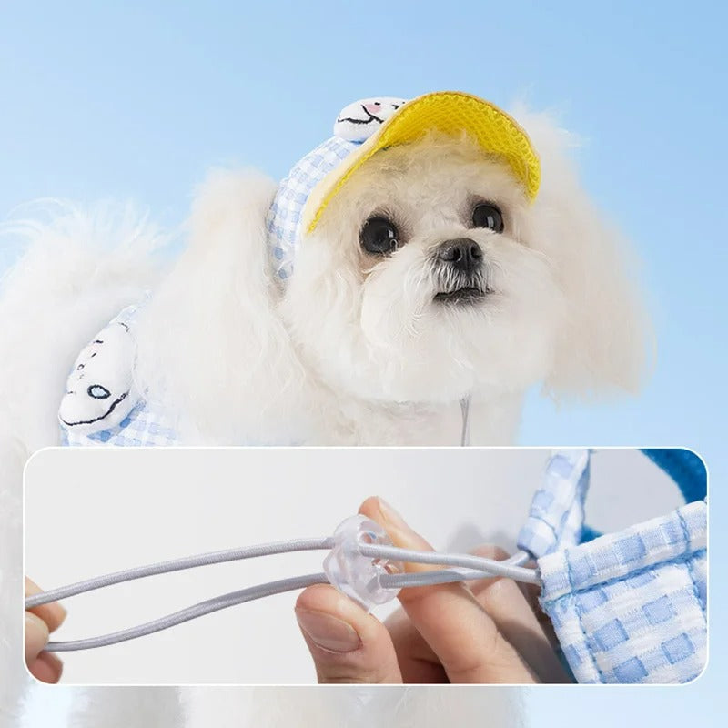 Dog Harness, Leash & Adjustable Hat Set in Blue or Brown – Quenby™