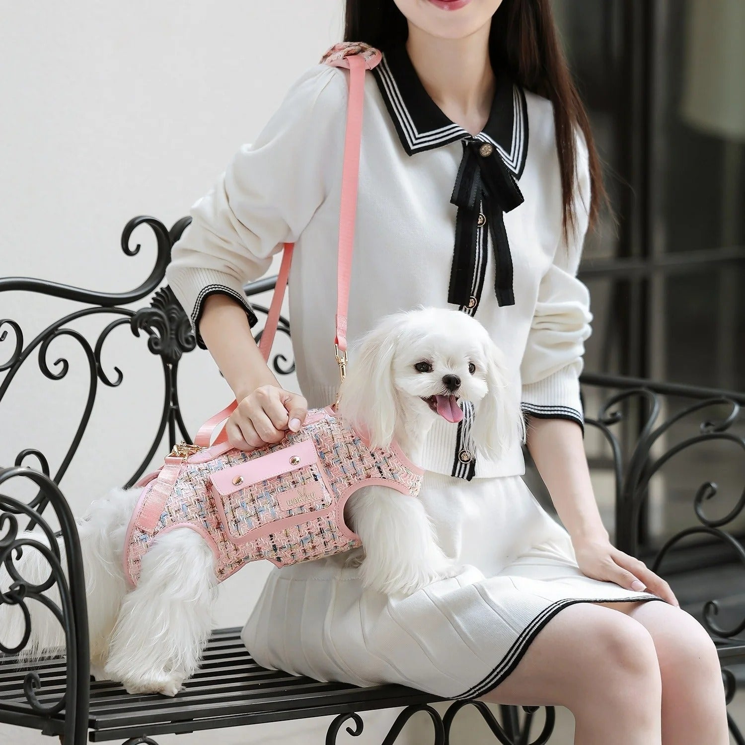 Elevated Sling Backpack Pet Carrier for Dogs & Cats – Zephira™