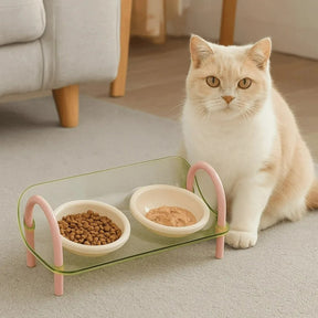Double Plastic Pet Bowl Set, BPA-Free for Dogs & Cats – PurePlate™